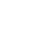 Web security